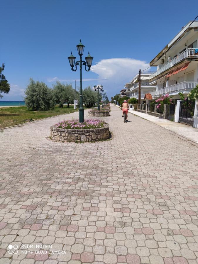 Hause Zorbas Aparthotel Paralia Dionysiou Exterior foto