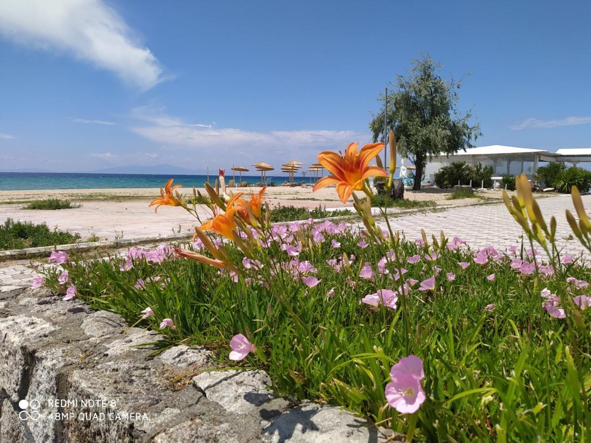 Hause Zorbas Aparthotel Paralia Dionysiou Exterior foto