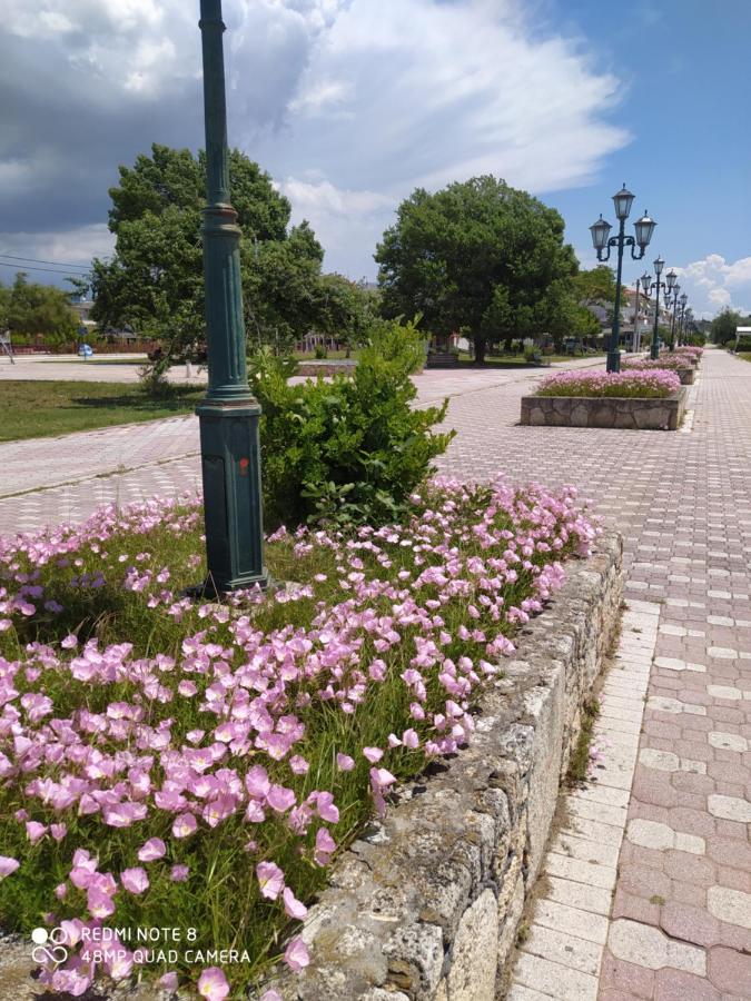 Hause Zorbas Aparthotel Paralia Dionysiou Exterior foto